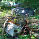 Illustration for article titled Two Years and 180 Cars Later, Michigan Man Forced to Sell 20 Cars A Month Has Eight Days To Clear His Lot